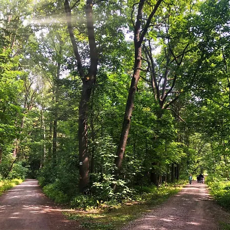 Nuumis Luxury 115 M2 Apartment, Dresdner Heide Mit Garten Lejlighed