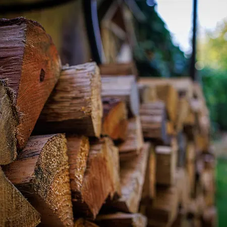 Nuumis Luxury 115 M2 Apartment, Dresdner Heide Mit Garten