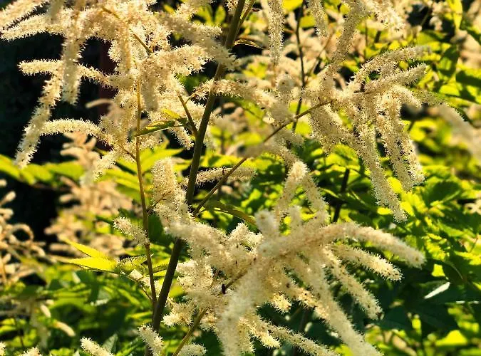 Nuumis Luxury 115 M2 Apartment, Dresdner Heide Mit Garten Апартаменты Дрезден