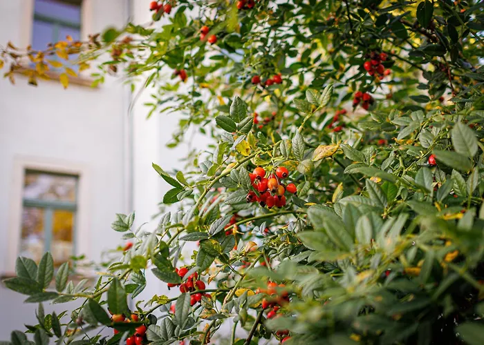 Nuumis Luxury 115 M2 Apartment, Dresdner Heide Mit Garten *