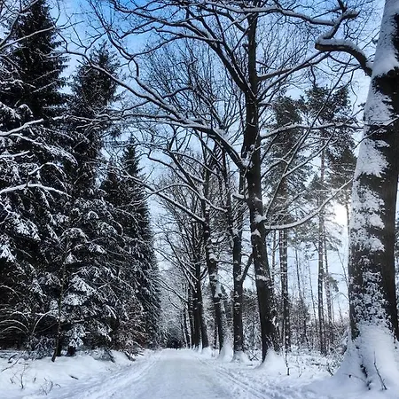 Nuumis Luxury 115 M2 Apartment, Dresdner Heide Mit Garten Appartamento *